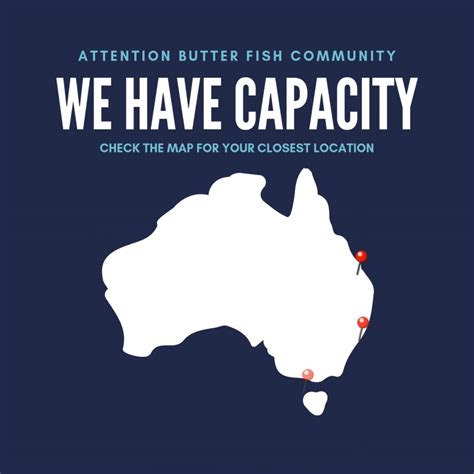 newcastle bahaviour support plans|Butter Fish Services® .
